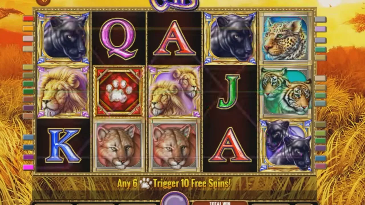 Catálogo amplio de tragamonedas de video en un casino online