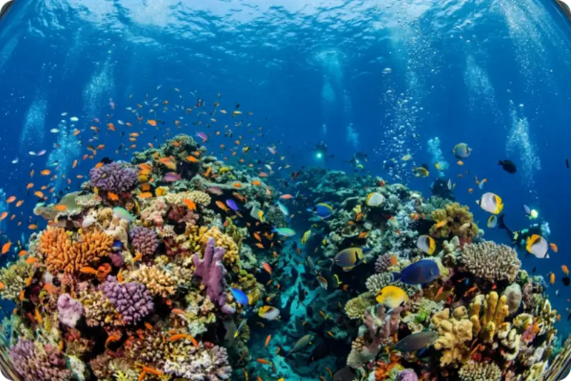 Tragamonedas Fish Eye - captura de pantalla